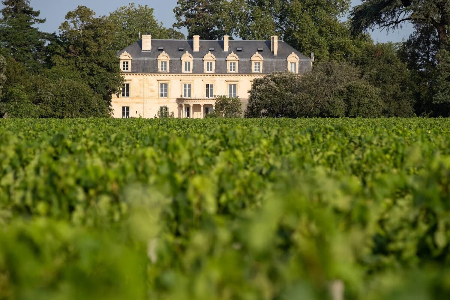 Une propriété privée au cœur des vignes, à l’image des actifs qui se transmettent dans la plus grande discrétion